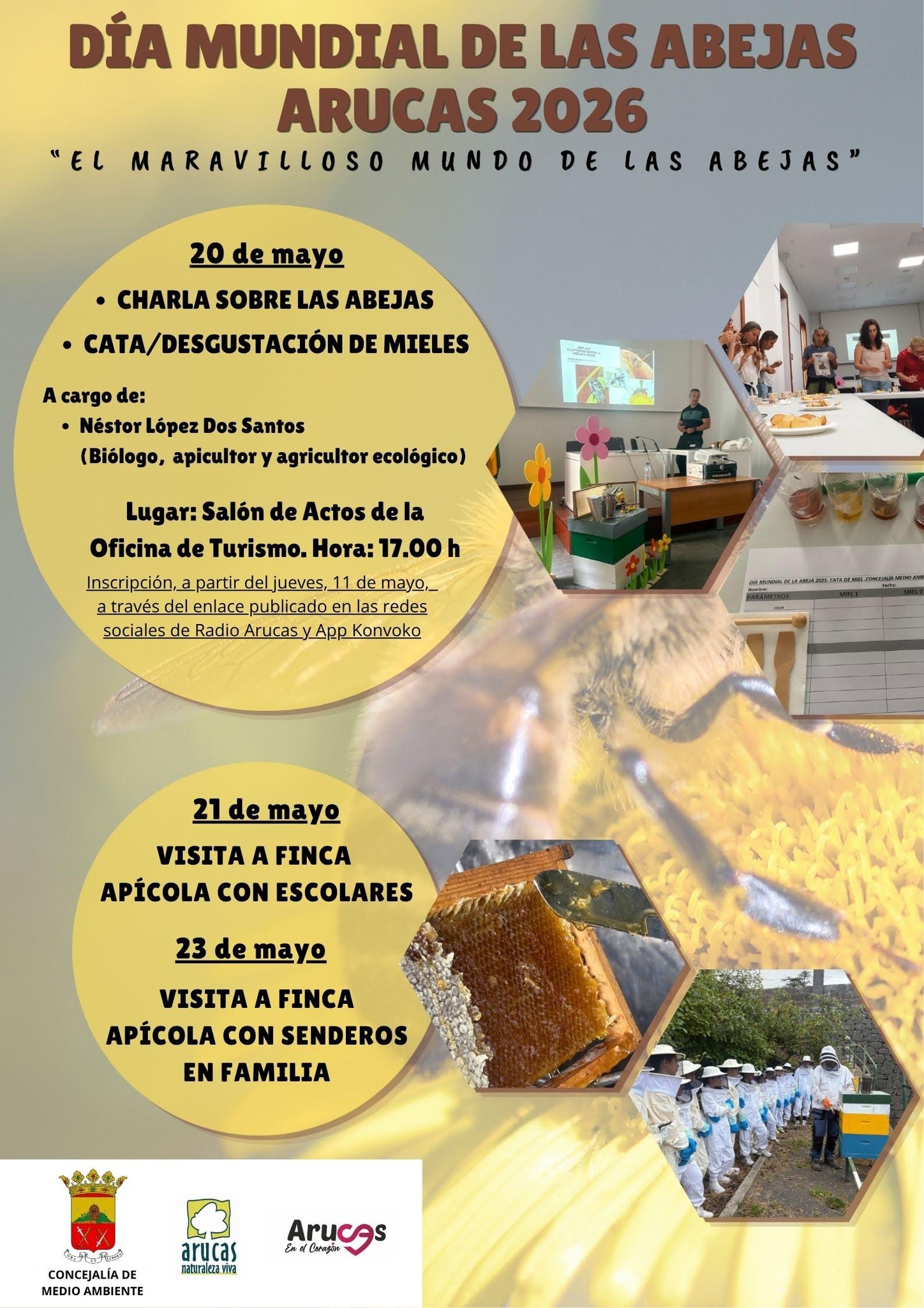 Imagen de DÍA MUNDIAL DE LAS ABEJAS ARUCAS 2026