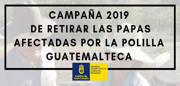 
												Imagen de INFORMACIÓN DE LA CAMPAÑA 2019 PARA...