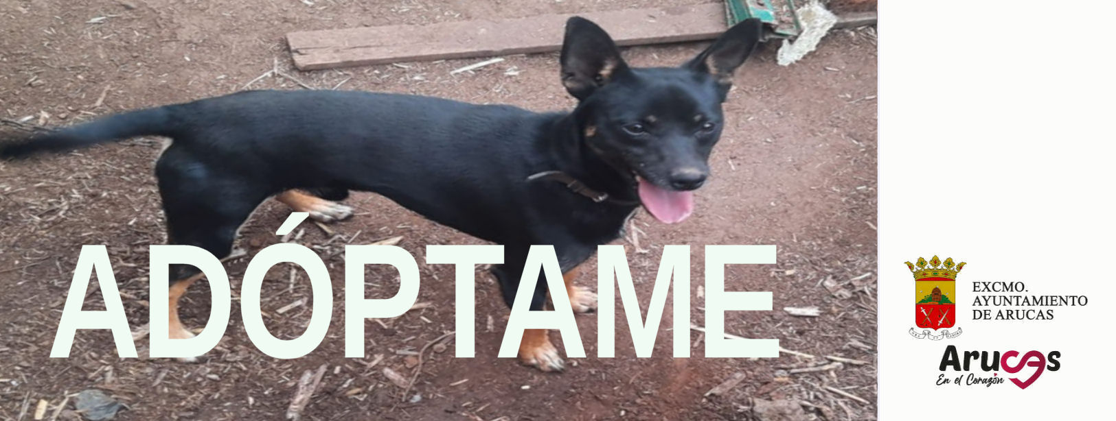 ADÓPTAME