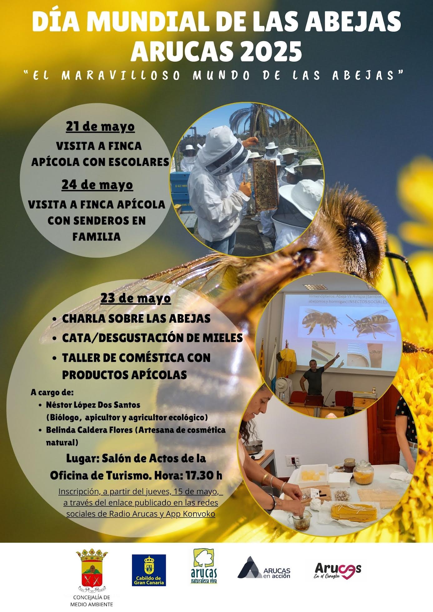 Imagen de DÍA MUNDIAL DE LAS ABEJAS ARUCAS 2025