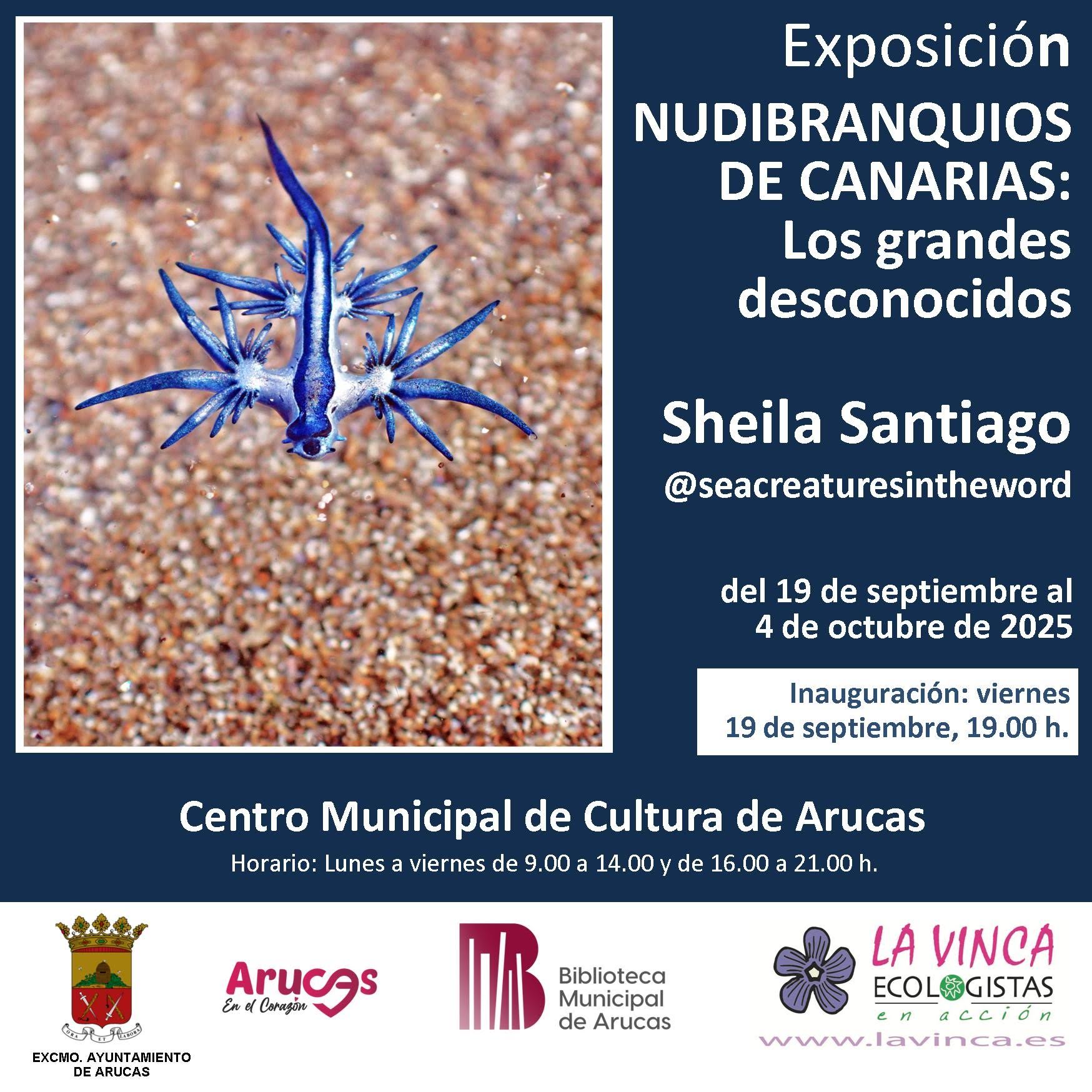 EXPOSICIÓN NUDIBRANQUIOS DE CANARIAS: LOS GRANDES DESCONOCIDOS