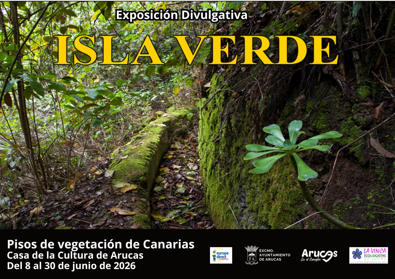 EXPOSICIÓN DIVULGATIVA ISLA VERDE
