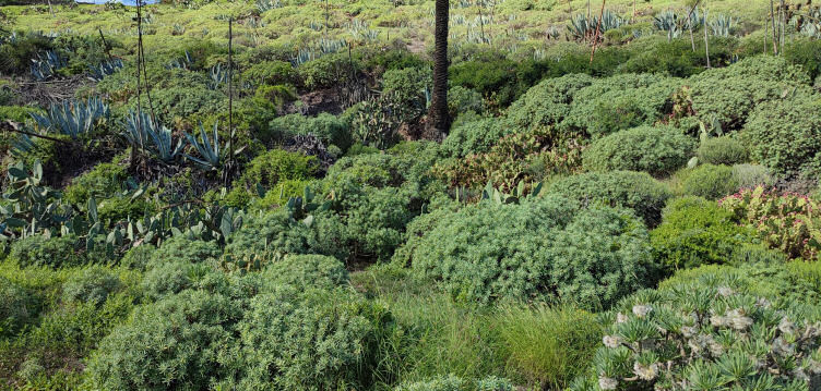 Imagen de Abierta la convocatoria para presentar...