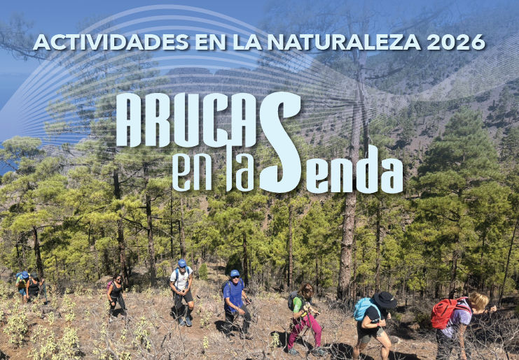 Imagen de ARUCAS EN LA SENDA 2026
