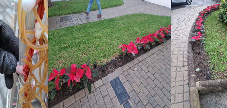 Imagen de El Ayuntamiento condena los actos...