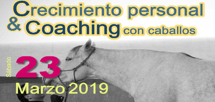 Arucas organiza un nuevo taller con caballos para fomentar el crecimiento personal de los jóvenes del municipio.