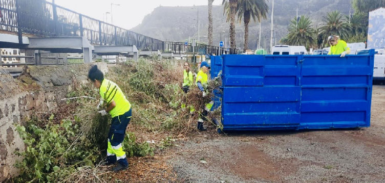Imagen de PROGRAMA DE FOMENTO DEL EMPLEO AGRARIO,...