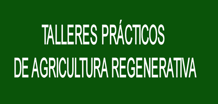 Imagen de El Ayuntamiento de Arucas oferta cinco...