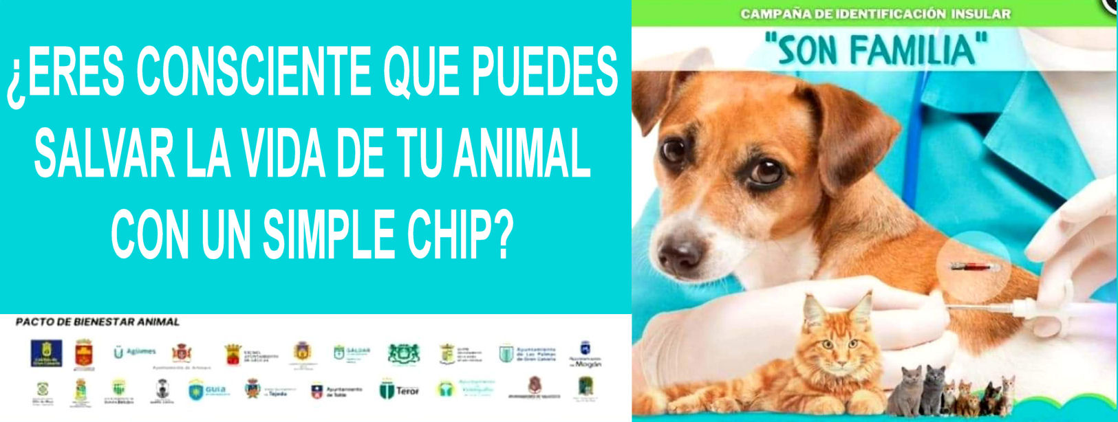 CAMPAÑA DE IDENTIFICACIÓN INSULAR