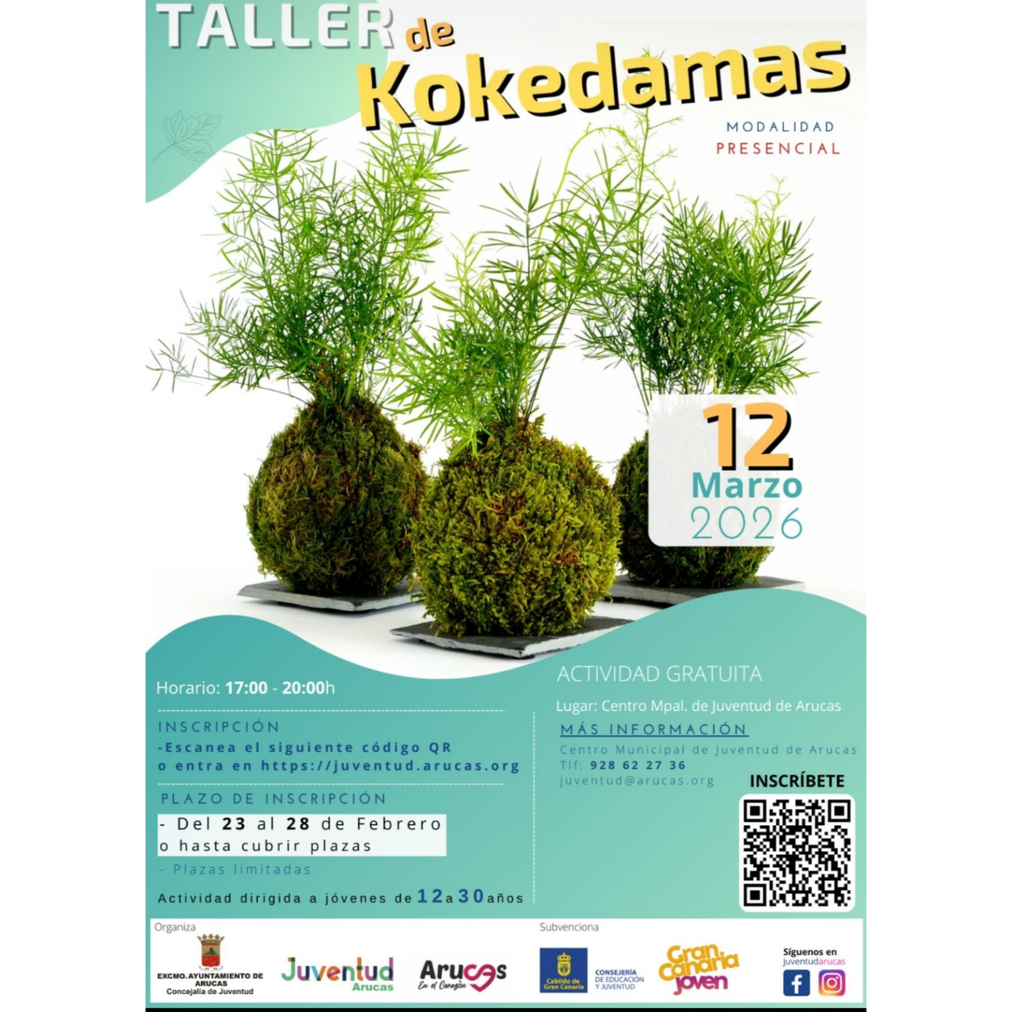 TALLER DE KOKEDAMAS