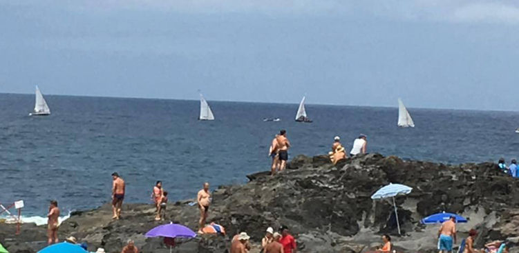 
												Imagen de  Mirando al mar. La vela latina navega...